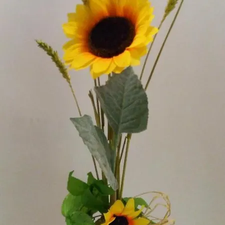 بيت للعطل La Casa Di Trilly