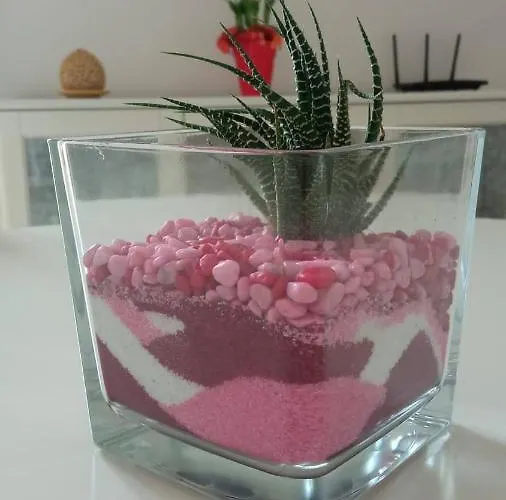 La Casa Di Trilly 別荘 モーラ・ディ・バーリ